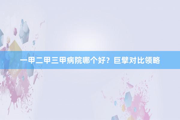 一甲二甲三甲病院哪个好？巨擘对比领略