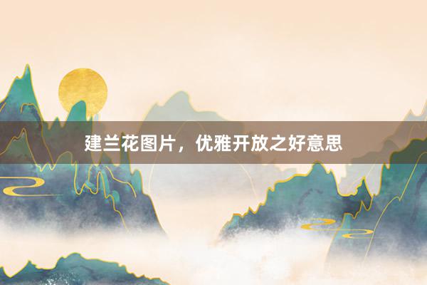 建兰花图片，优雅开放之好意思