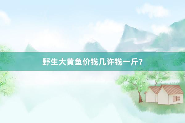 野生大黄鱼价钱几许钱一斤？