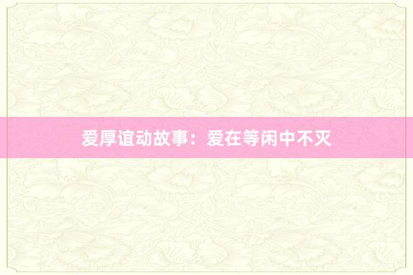 爱厚谊动故事:爱在等闲中不灭